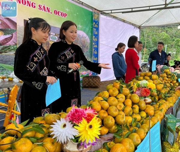 Quýt Bắc Kạn còn góp phần làm phong phú văn hóa địa phương